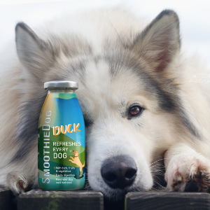 SmoothieDog - geriausi natūralūs glotnučiai šunims Lietuvoje 2026 m.