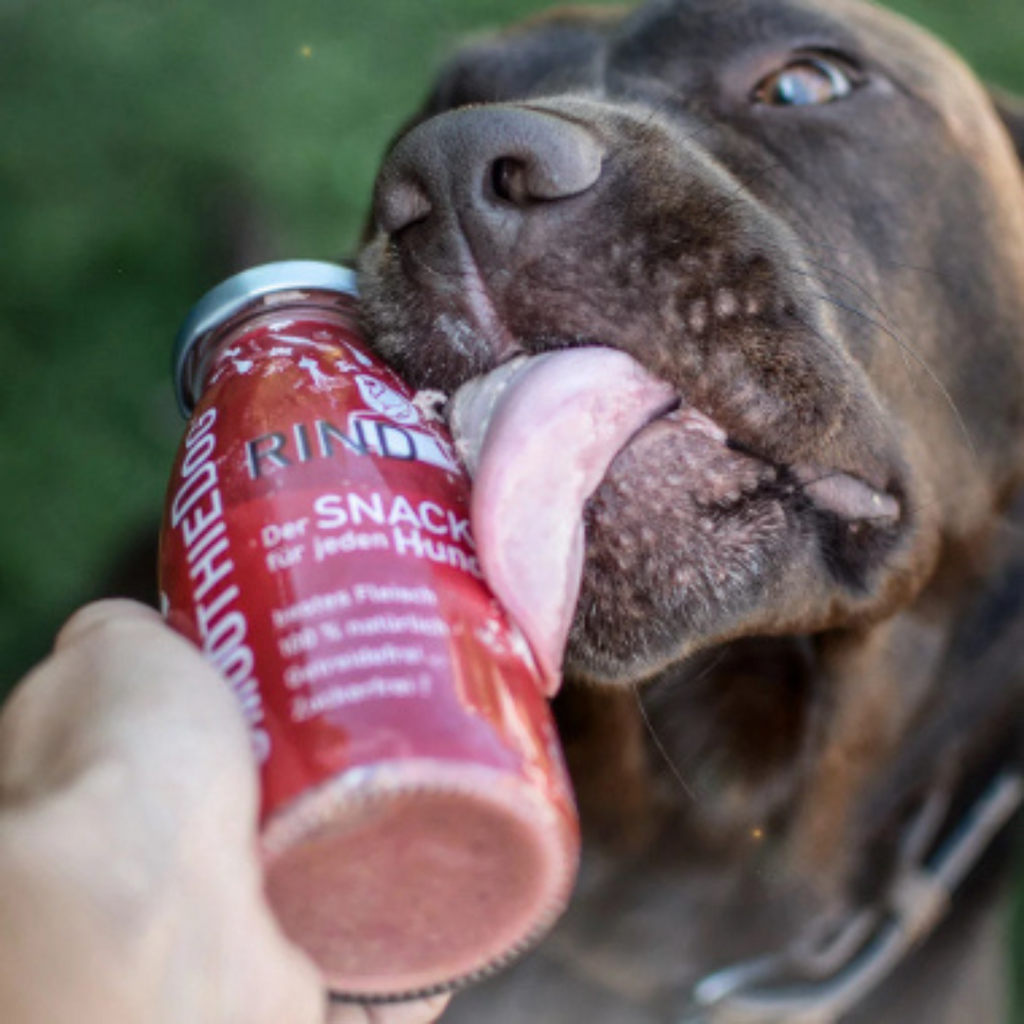 SmoothieDog glotnučiai – natūralus skanėstas tavo šuniui