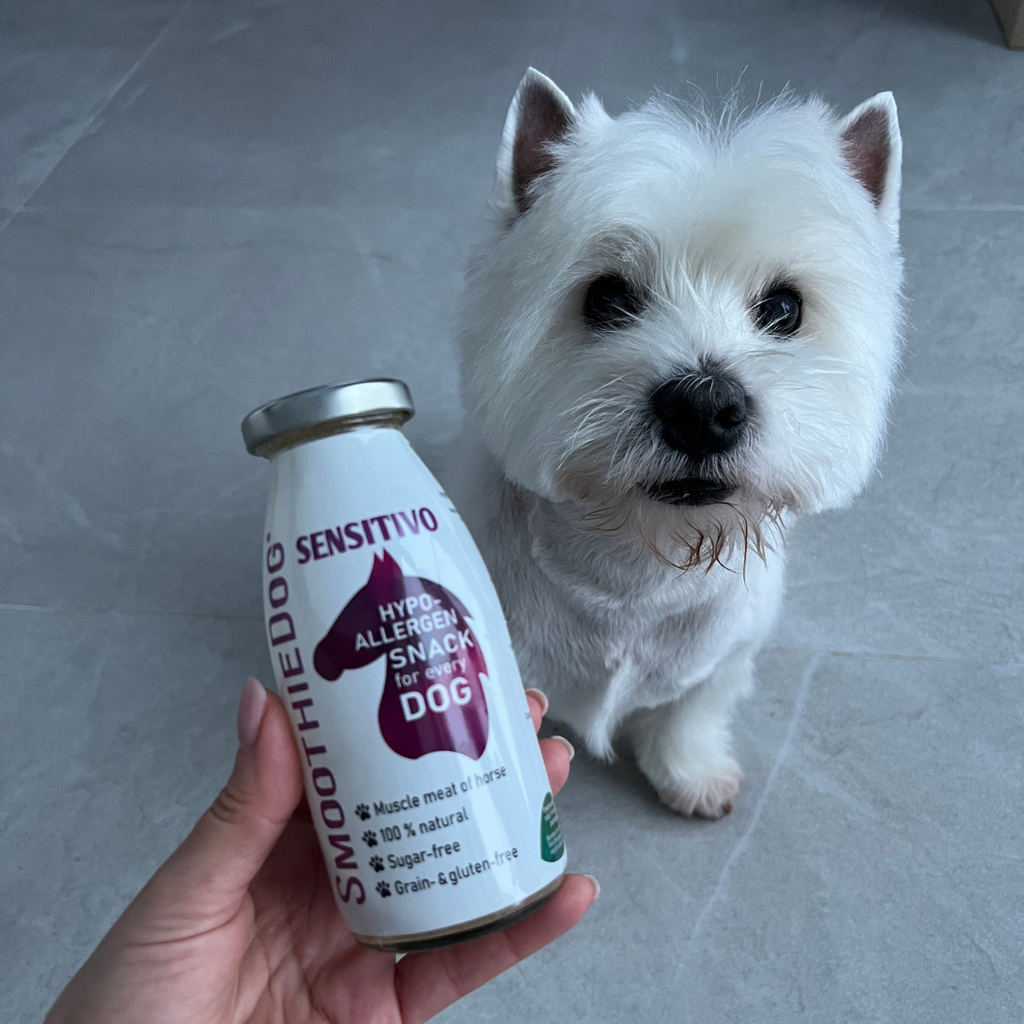 SmoothieDog glotnučiai šunims: natūralus skanėstas, kuris tinka net jautriems