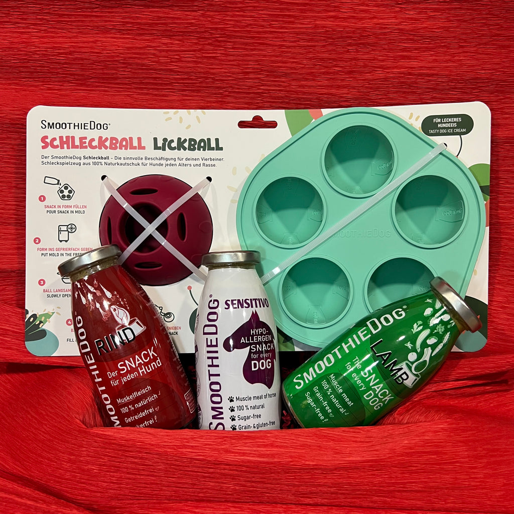 Kalėdins rinkinys šunims