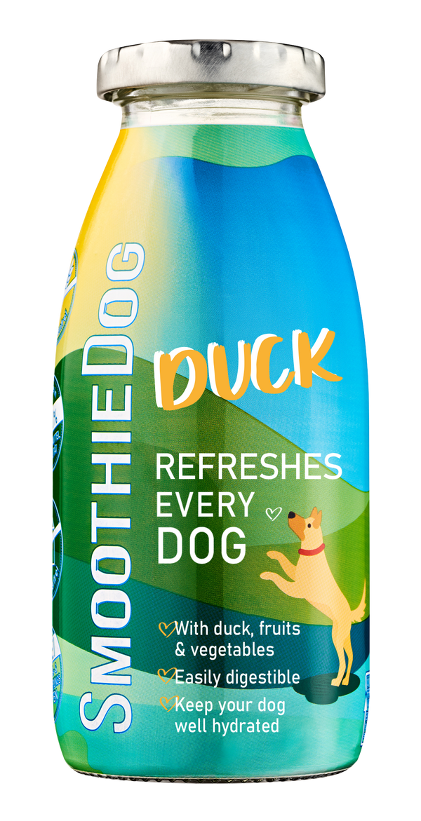 Antienos glotnutis šunims - SmoothieDog