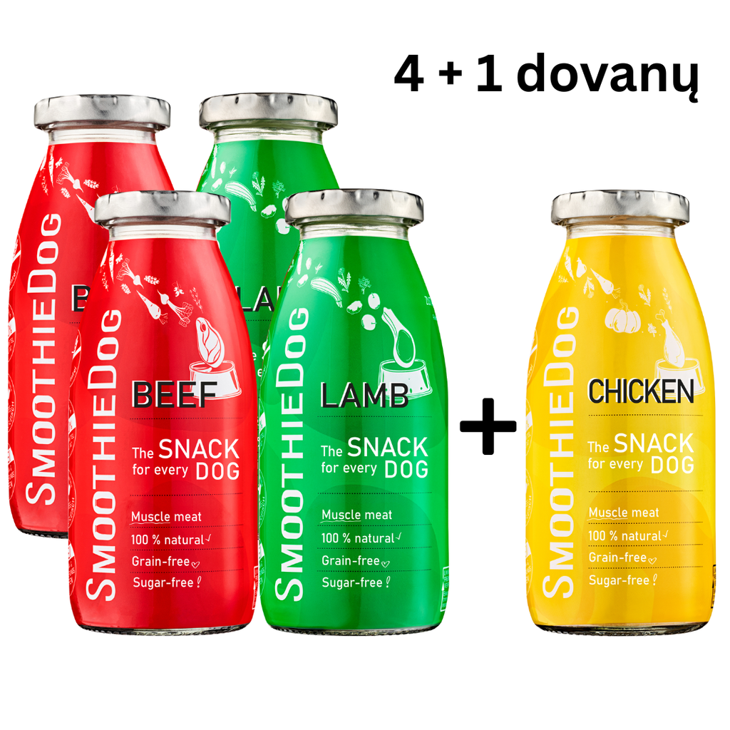Akcija 4+1