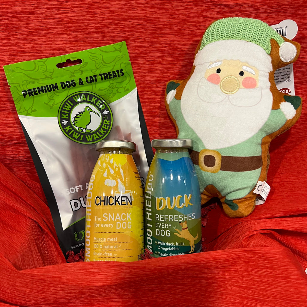 Kalėdinė dovana šuniui