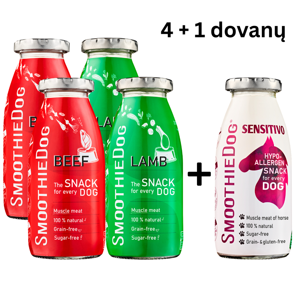 Smoothie glotnučių MIX rinkinys | 4+1