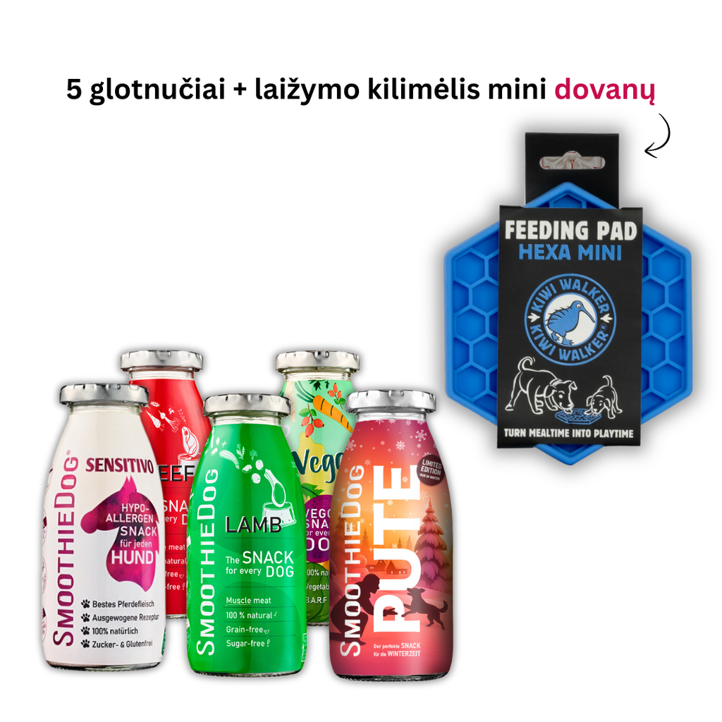 Smoothie glotnučių MIXY rinkinys + laižymo kilimėlis dovanų