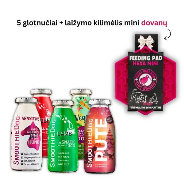 Smoothie glotnučių MIXY rinkinys + laižymo kilimėlis dovanų
