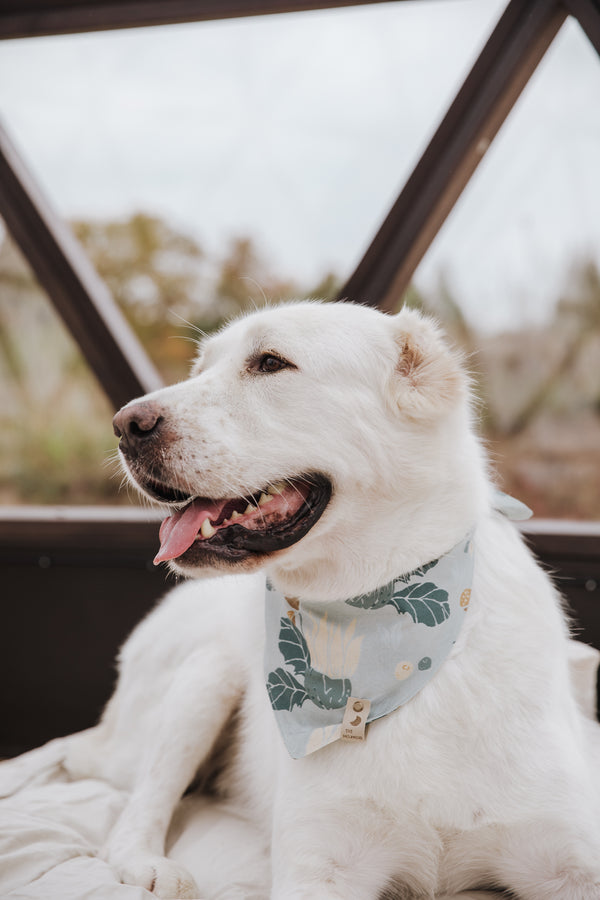 Stilinga bandana | GAMTA