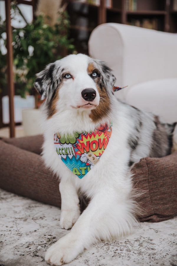 Stilinga bandana | WOW KOKS ŠUO