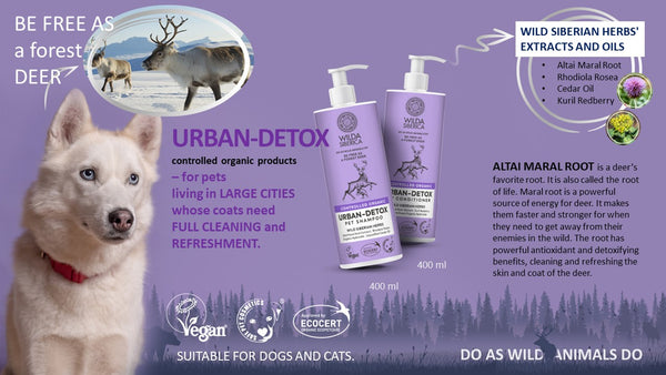 Urban-detox pet kondicionierius (400 ml) | Wilda Siberica
