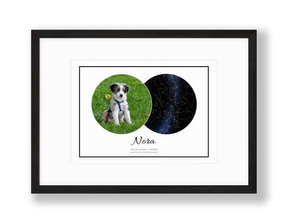 Asmeninis šuns žvaigždėlapis su nuotrauka